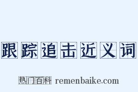 跟踪追击近义词是什么意思的图片